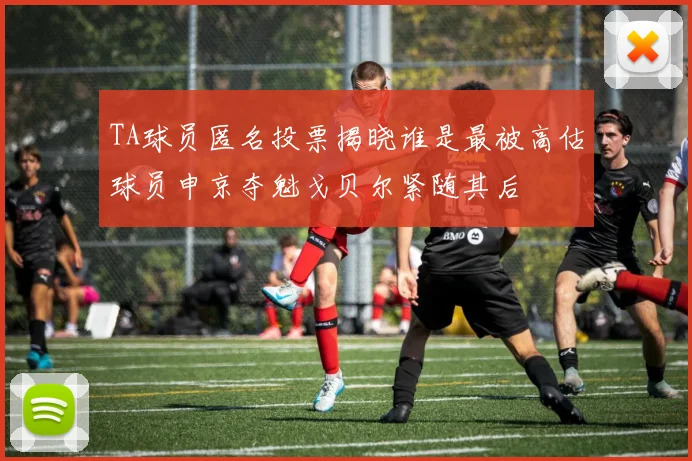 TA球员匿名投票揭晓谁是最被高估球员申京夺魁戈贝尔紧随其后