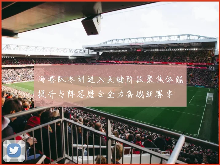 海港队冬训进入关键阶段聚焦体能提升与阵容磨合全力备战新赛季