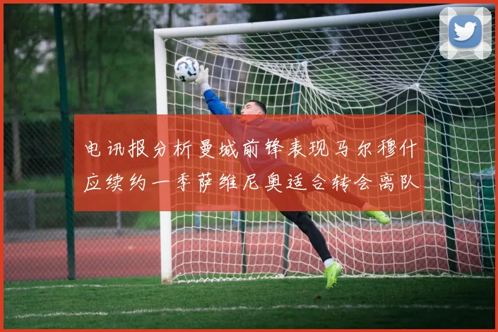 电讯报分析曼城前锋表现马尔穆什应续约一季萨维尼奥适合转会离队